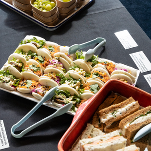 Conferencing & Seminar