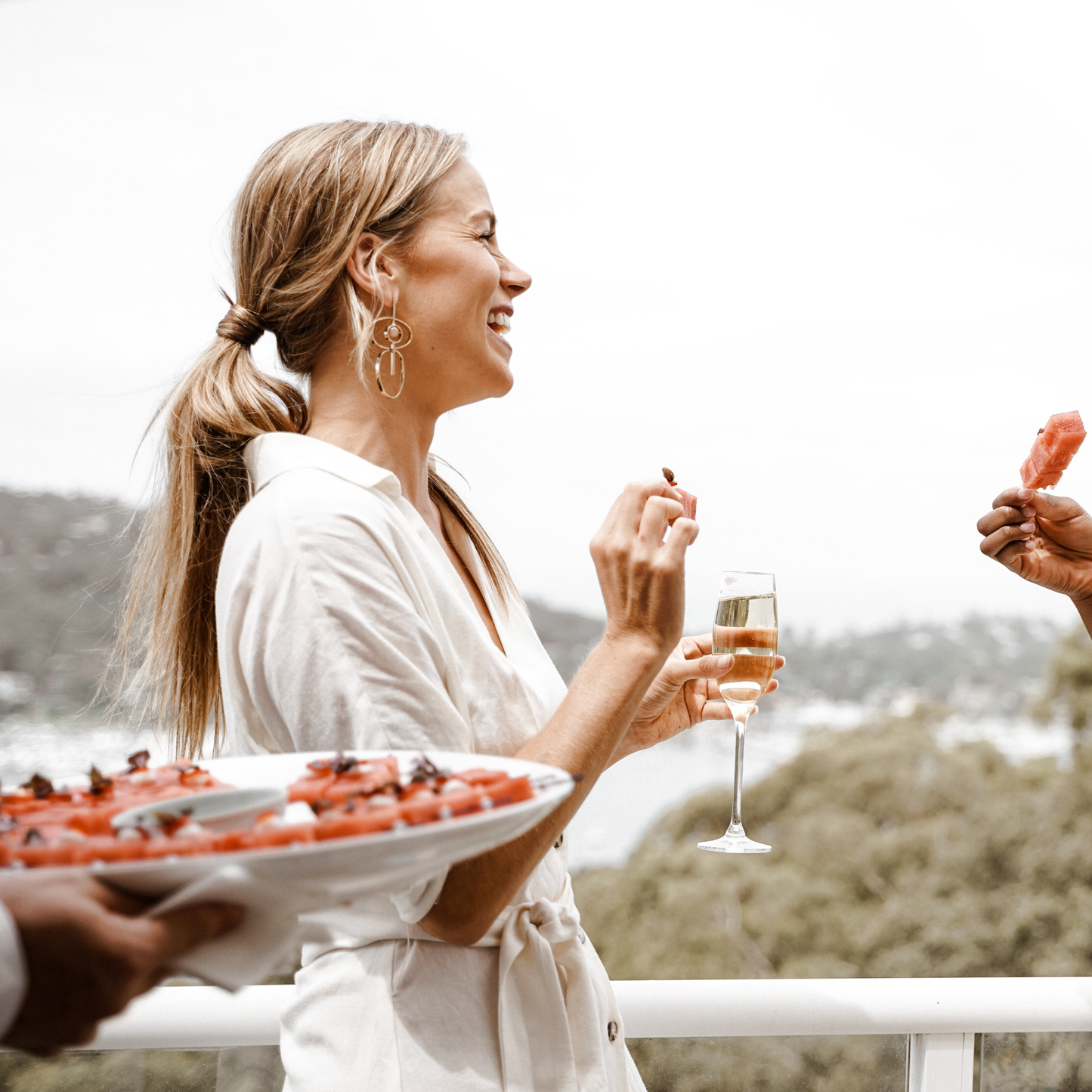 Premium Canape Package - 3 Hours